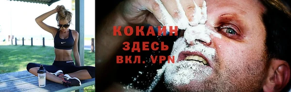 молекула духа Няндома
