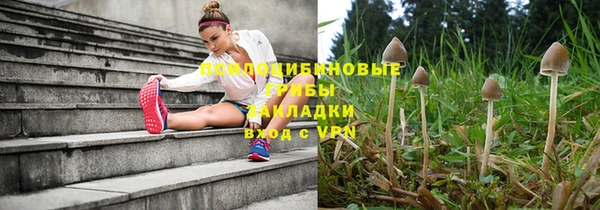 МДПВ Алексин
